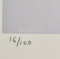 Andy Warhol (1928-1987): Revolver. Litográfia, papír. Sorszámozott 16/100 jelzett a nyomaton. George...