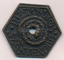 Ligeti Erika (1934-2004) 1979. "Állami csúszópénz - Respublica Szentendre" bronz gúnyérem ...