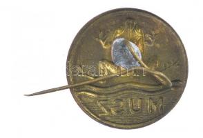 DN "MUSZ (Magyar Úszó Szövetség)" bronz lemezjelvény (21mm) T:2 hajlott tű