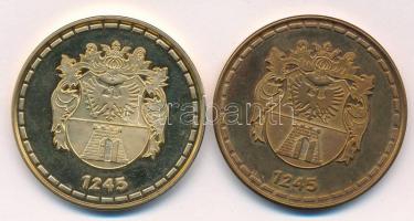 DN "Nagykanizsa, a régiók kapuja" aranyozott Br és Br kétoldalas emlékérem Vasemberház ábr...