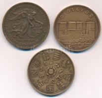 Lisztes István (1942-) 1973. "MÉE - Jászberényi Csoport / Pest-Buda-Óbuda egyesítésének századi...