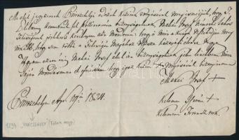 1894 Pincehely, tanúvallomás házaspár ügyének perében