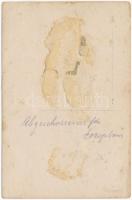 Abgeschossenes Aeroplan / WWI Austro-Hungarian K.u.K. military, shot down aircraft. photo (ragasztón...