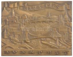 Madarassy Walter (1909-1994) 1973. Budapest 1873-1973 egyoldalas, öntött bronz plakett dísztokban (78x100,5mm) T:1