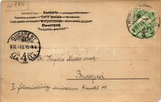 1906 Ladies as horses (EM)