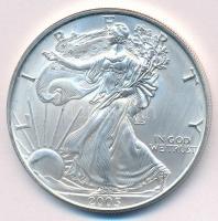 Amerikai Egyesült Államok 2005. 1$ Ag "American Silver Eagle" T:1,1-  USA 2005. 1 Dollar Ag "American Silver Eagle" C:UNC,AU