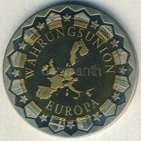 NSZK / Magánkiadás "Egységes pénz (Euro) - Reichstag/Berlin" bimetál emlékérem T:1
