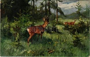Maimorgen / Hunting art postcard with deer. Münchener Kunst Nr. 263. s: P. Leuteritz (lyuk / pinhole)