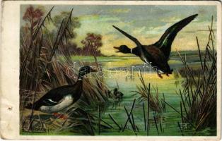 Hunting art postcard with ducks. Waidmanns Heil Serie 48. litho s: Döcker jun. (lyuk / pinhole)