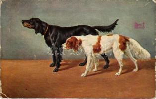 Dogs. T.S.N. Serie 707. (6 Dess.) (EK)