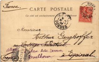 1902 Algérie. Touareg / Algerian folklore, Tuareg man (EK)