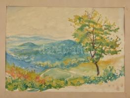 Sárosi Ödön (1885-1950): Buda, Hűvösvölgy környéki táj. Akvarell, papír. Jelzett. 48x37 cm