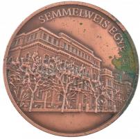 Fritz Mihály (1947-) DN. Jendrassik Ernő (1858-1921) kétoldalas, öntött bronz emlékérem (125x84mm) T...