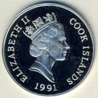 Cook szigetek 1991. 50$ Ag "Veszélyeztetett állatvilág-sólyom" T:PP