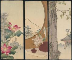 8 db színes illusztrációrészlet, közte majmos