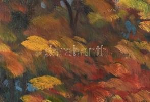 Gyügyei Nagy Zsigmond (1872 - 1932) : Aranyos napsugarak a Sváb hegyen. Olaj, karton. Jelezve jobbra...