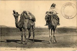 Chamelier / Moroccan folklore, camel driver (EK)