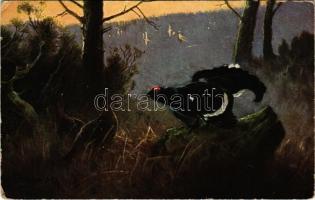 Hunting art postcard, birds. ERIKA Nr. 3699. artist signed (EK)
