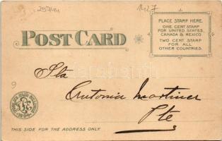 1904 Saint Louis, St. Louis; World's Fair. Palace of Mines and Metallurgy. Art Nouveau, silver ...