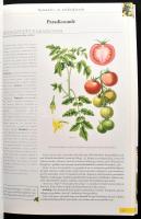 Kissné Dogossy Éva: A természet kincseskamrája. Gyógynövényekről, magvakról, gyümölcslevekről minden...