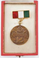 1965. "Életmentésért" részben zománcozott bronz életmentő kitüntetés T:1-