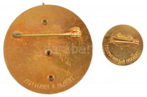 1954. "Magyar Partizán Emlékérem" zománcozott, aranyozott, bronz kitüntető jelvény, hátold...