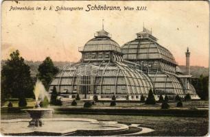 1907 Wien, Vienna, Bécs XIII. Palmenhaus im k.k. Schlossgarten Schönbrunn / palm house in the castle park (EK)