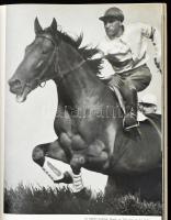 Dr. Vajda Ernő: Ungarische Fotokunst 1962. Bp., 1962, Corvina. Gazdag fekete-fehér képanyaggal. Néme...