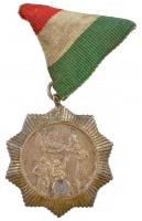 1951. Anyasági Érdemrend II. fokozat ezüstözött Br kitüntetés nem saját mellszalagon T:2,2- patina NMK 544