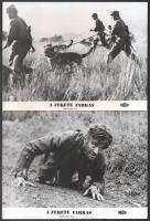 cca 1972 ,,A fekete farkas című csehszlovák film jelenetei és szereplői, 13 db vintage produkciós filmfotó, ezüst zselatinos fotópapíron, a használatból eredő kisebb hibákkal, 18x24 cm