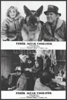 1974 ,,Fehér Agyar visszatér" című olasz film jelenetei és szereplői (köztük Franco Nero, Virna...