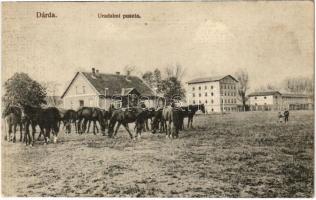 Dárda, Darda; Uradalmi puszta, a ménes lovai, kiadja Arady Lajos könyvnyomdász- és könyvkereskedő / manorial estate, horse herd, stud farm (fl)