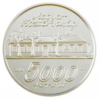 2010. 5000Ft Ag Erkel Ferenc születésének 200. évfordulója kapszulában T:PP  Adamo EM234