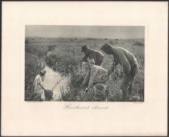 cca 1914-1918 Az Érdekes Újság 4 db háborús képe (Sebesült szállítás, Huszárgyerek itatja lovát a Bú...