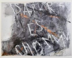 Lakner László: Metamorphosis. Kiállítási katalógus. A festőművész, Lakner László (1936-) Kossuth-díj...