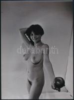 cca 1981 Éva és az alma, műtermi akt felvétel, 1 db modern nagyítás, jelzés nélkül, 24x17,7 cm