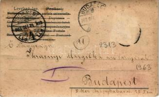 1903 Lady art postcard (fa)