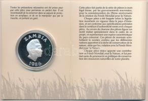 Zambia 1986. 10K Ag "A Világ Vadvédelmi Alap (WWF) 25. évfordulója - Fehérszárnyú bolyhosfarkúm...