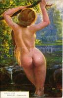 Crepuscule. Galerie dArt. Ufficio Revisione Stampa N. 960. / Erotic nude lady art postcard s: Rovard