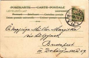 1902 Art Nouveau lady art postcard. Koch & Bitriol litho s: H. Tr. (EB)