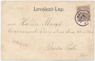 1900. 1 Forintos Kossuth bankót ábrázoló hosszúcímzéses képeslap