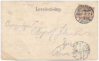 1900. 5 Forintos Kossuth bankót ábrázoló hosszúcímzéses képeslap