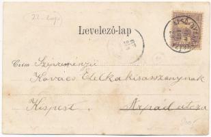 1900. 100 Forintos Kossuth bankót ábrázoló hosszúcímzéses képeslap