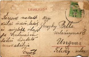 1909 Munkács, Mukacheve, Mukacevo; M. kir. állami gyermekmenhely. W.L. 1173. / orphanage (szakadás /...