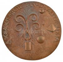 ~1970-1980. "Xantus János / A Somogy Megyei Tanács Alkotói Díja" kétoldalas, öntött bronz ...