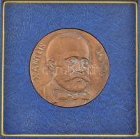 ~1970-1980. "Xantus János / A Somogy Megyei Tanács Alkotói Díja" kétoldalas, öntött bronz ...