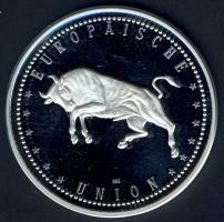 NSZK DN "Európai Unió" Ag 20g T:PP