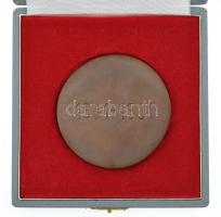 1981. "Öntödei Vállalat Kőbányai Vas- és Acélöntöde / 1911-1981" kétoldalas, öntött bronz ...