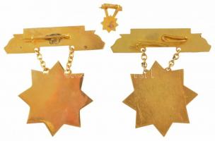 ~1950. "Állami Gazdaság Kiváló Dolgozója" Rákosi-címeres aranyozott, zománcozott Br kitünt...