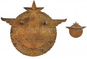 ~1960. "A Balesetmentes Közlekedésért" bronz autóra szerelhető jelvény (97x82mm) + jelvény...